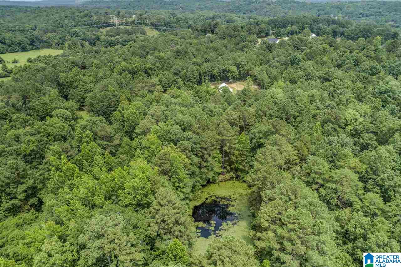 3851 Humber Road Dora, AL 35062 - Photo 10 of 35