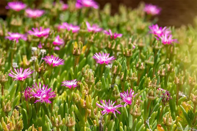 $505,000 | 5466 South Shawnee Way, Aurora, CO 80015