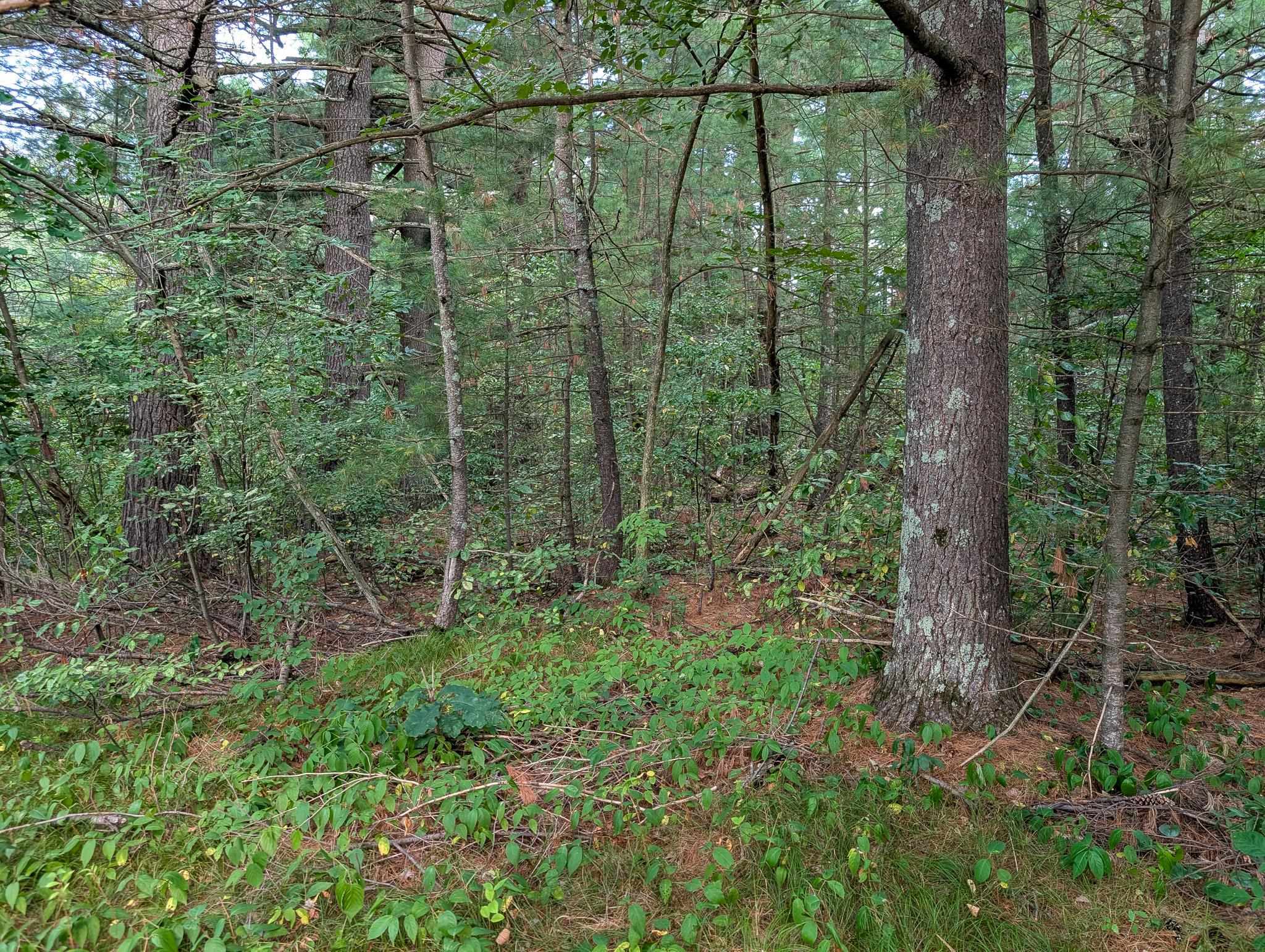 610 Peninsula Lane Ringle, WI 54471 - Photo 7 of 8 Gallery Image 7