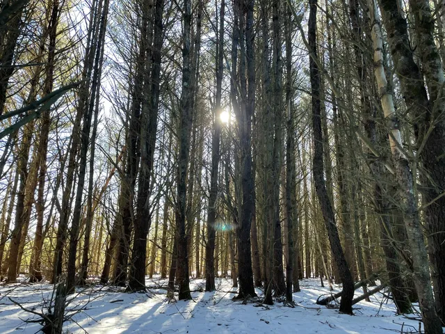 $249,900 | 10652 North River Road, Irons, MI 49644