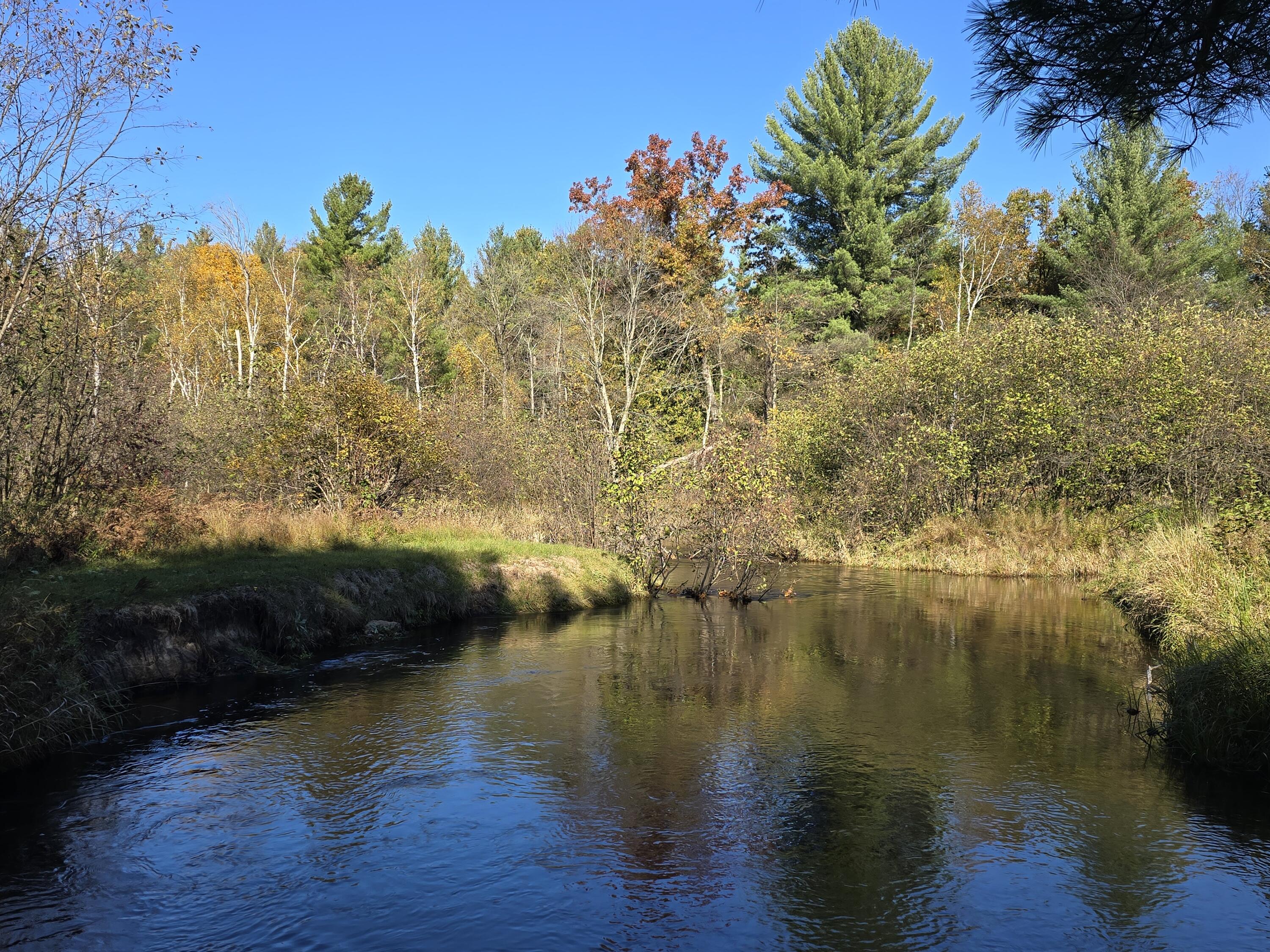 10652 North River Road Irons, MI 49644 - Photo 15 of 38 1000031702