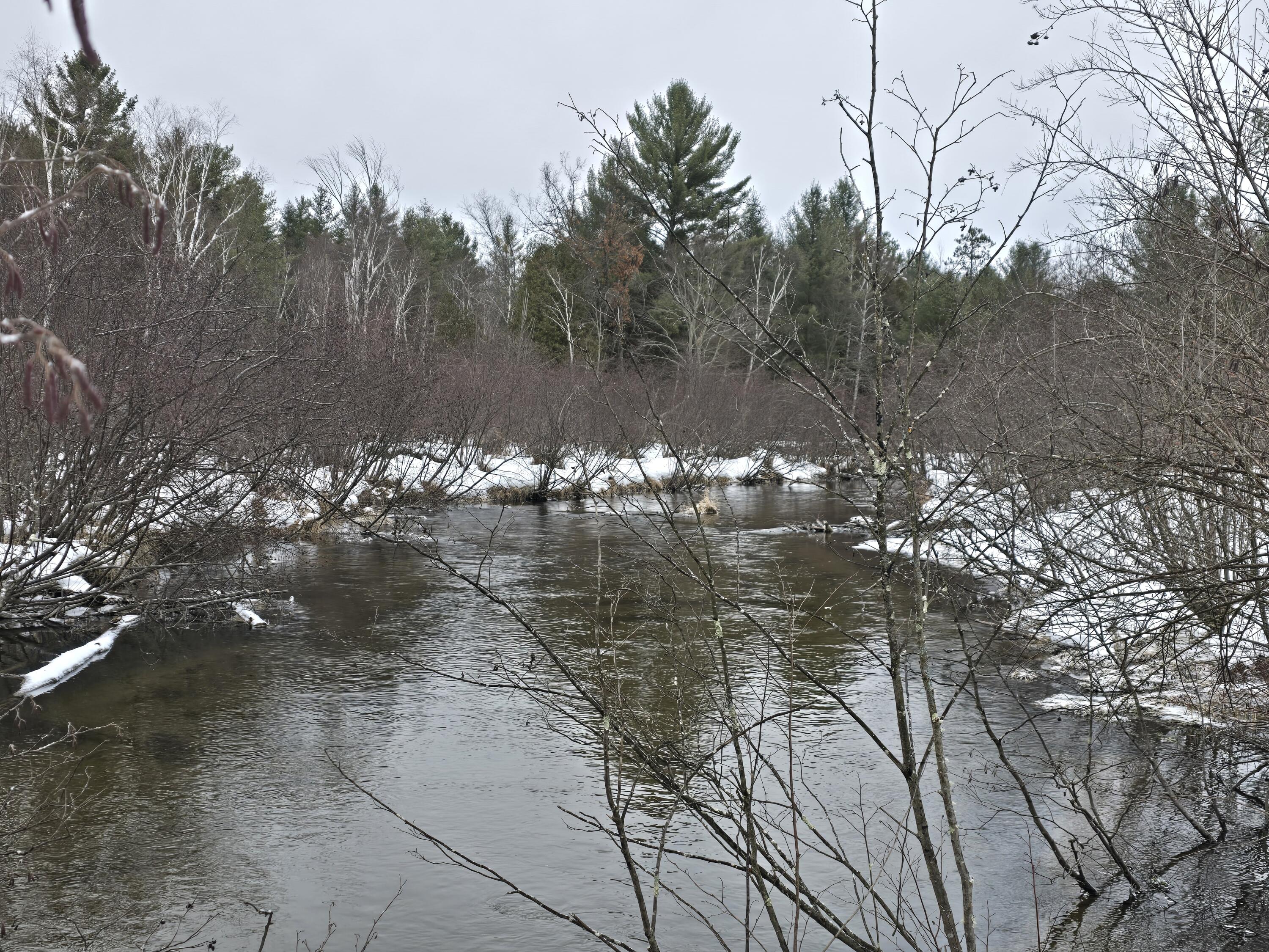 10652 North River Road Irons, MI 49644 - Photo 31 of 38 1000033464