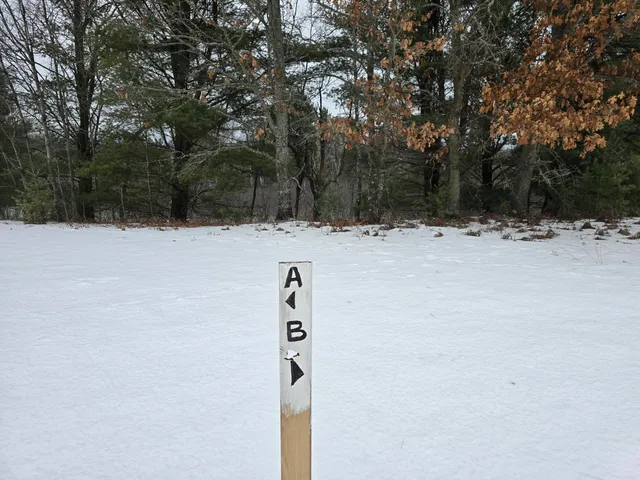 $249,900 | 10652 North River Road, Irons, MI 49644