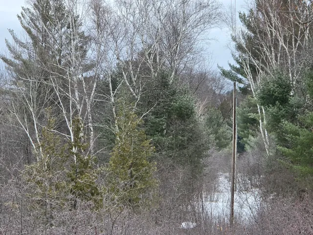 $249,900 | 10652 North River Road, Irons, MI 49644