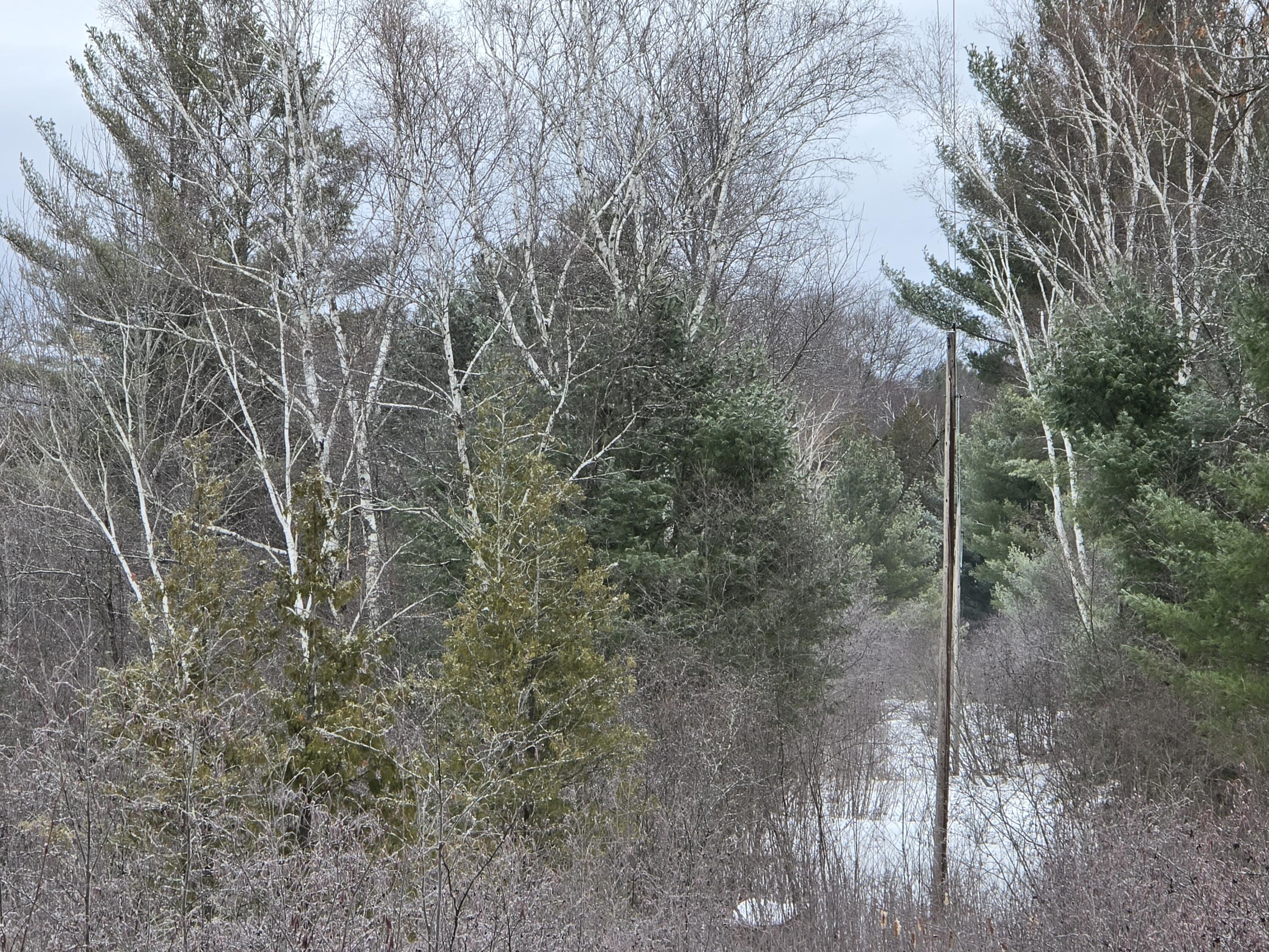 10652 North River Road Irons, MI 49644 - Photo 38 of 38 1000033452