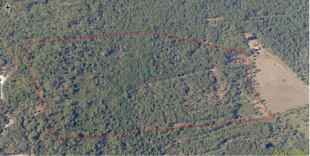 Tree Forest Pierson, FL 32180 - Photo 1 of 1