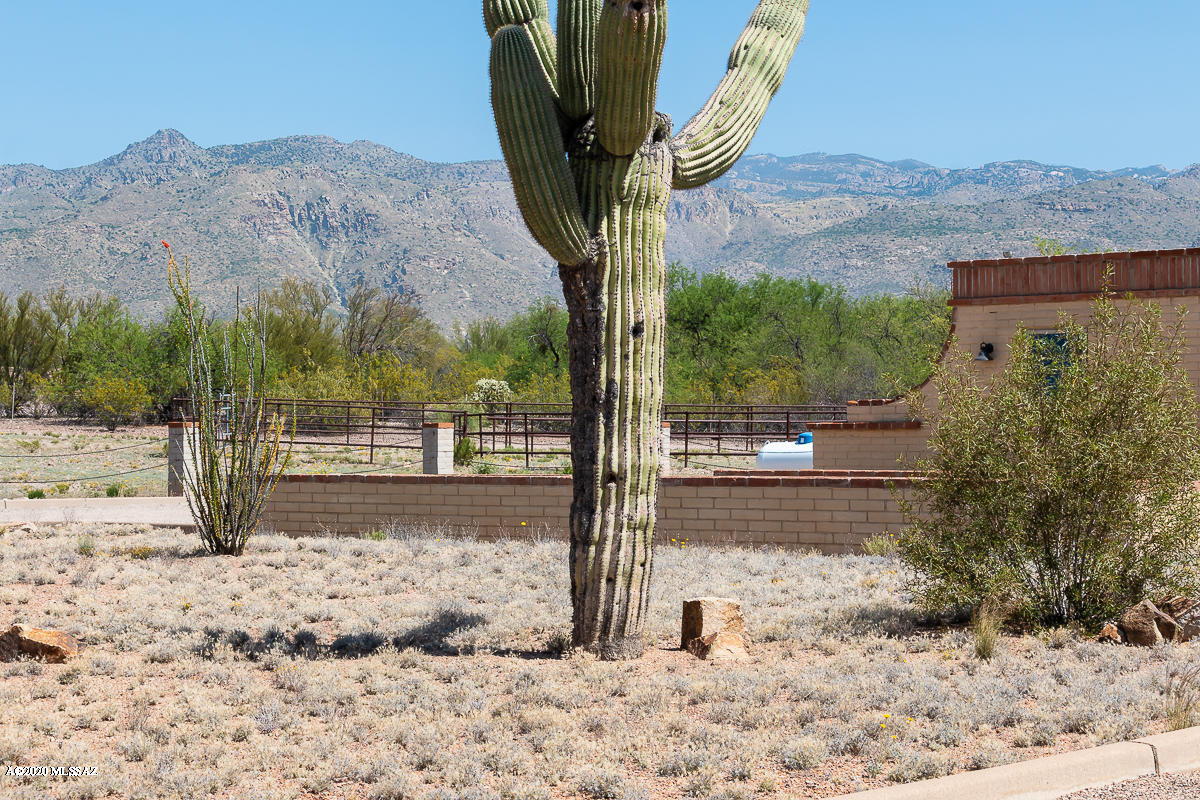 11511 East Tanque Verde Road Tucson, AZ 85749 - Photo 6 of 46 Gallery Image 6