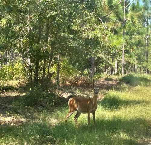 $775,000 | 203 John Henry Lake Road, Poplarville, MS 39470