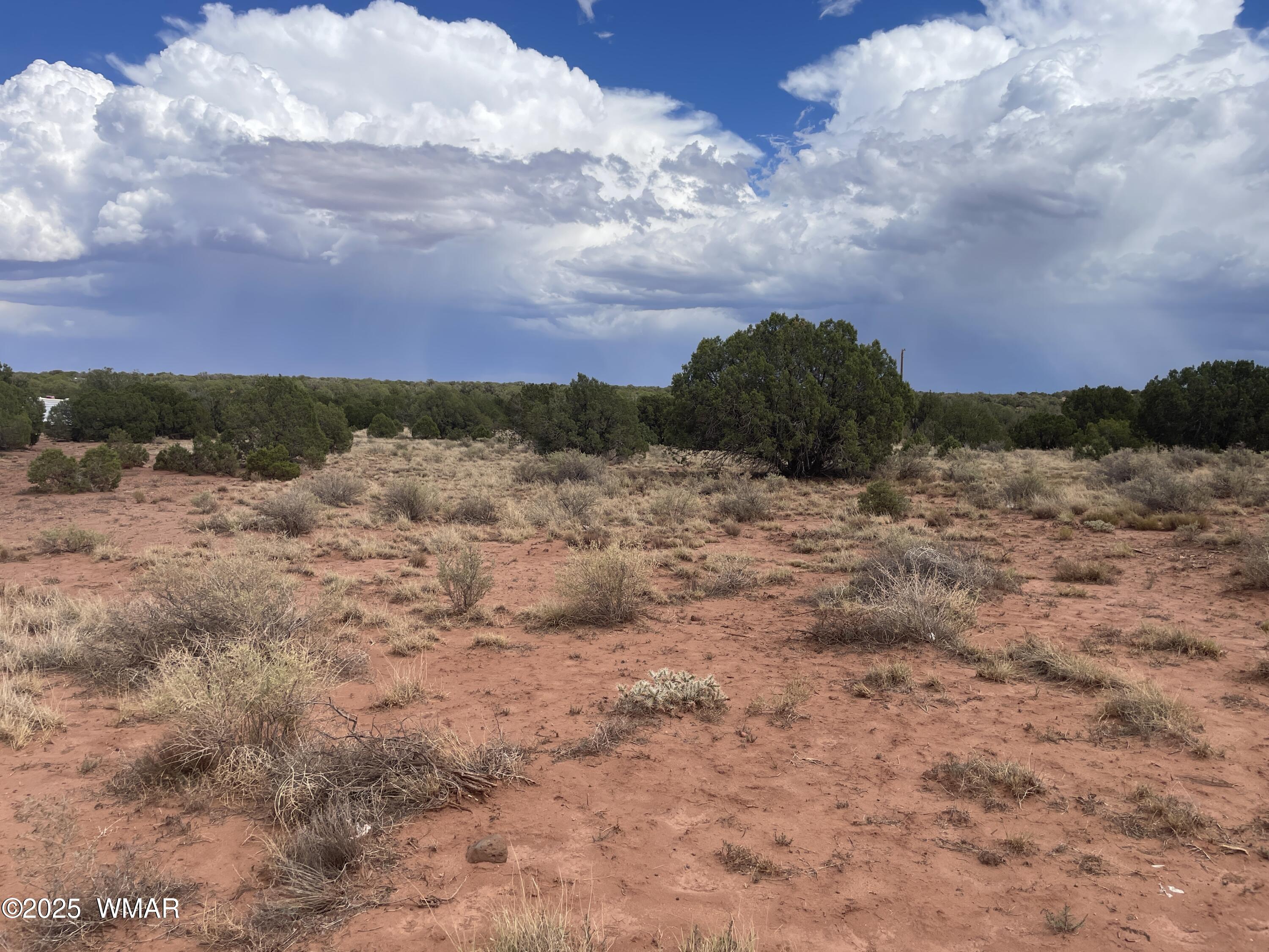 4317 Indian Bend Road Snowflake, AZ 85937 - Photo 1 of 11 IMG_4792