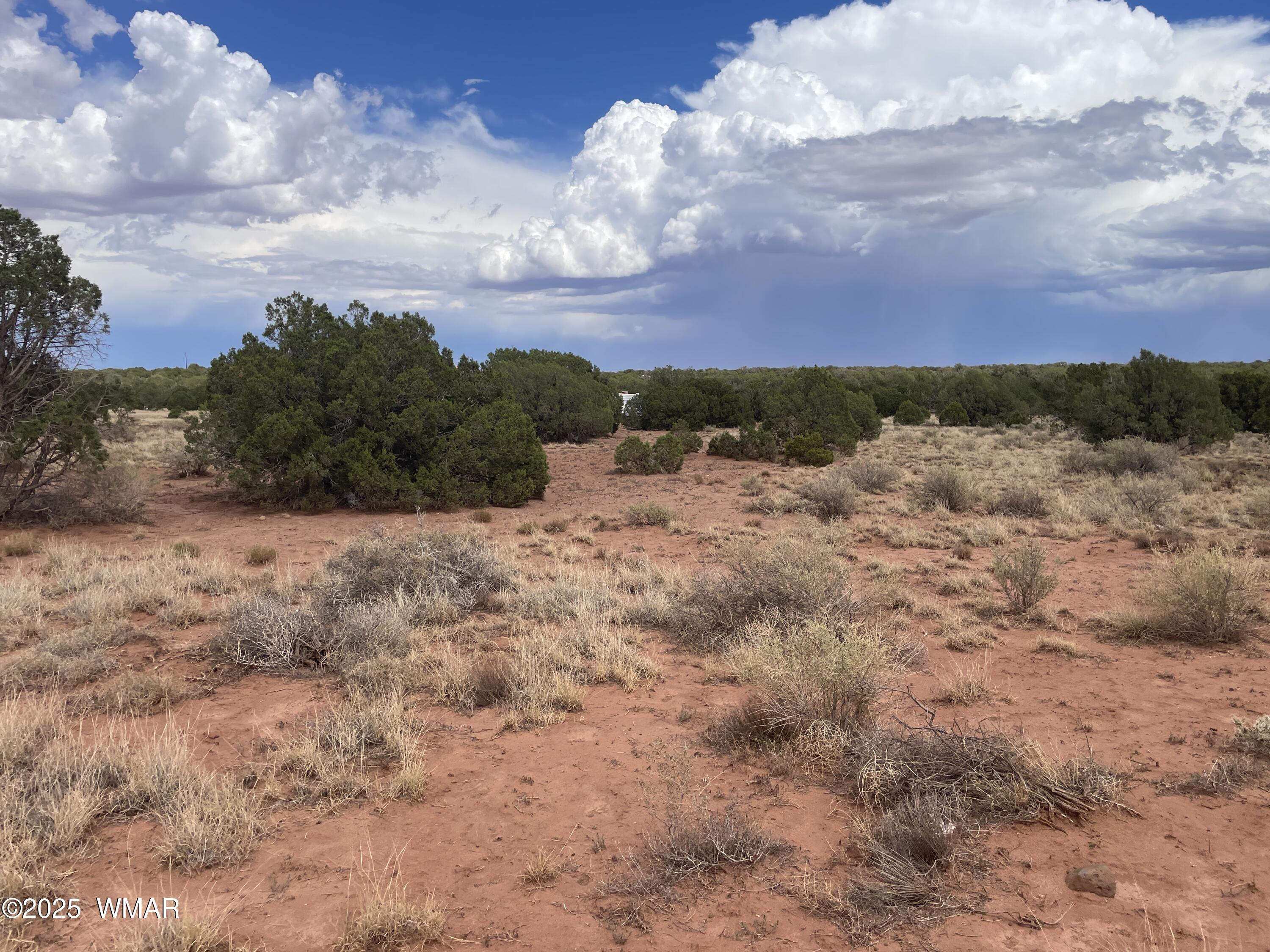4317 Indian Bend Road Snowflake, AZ 85937 - Photo 2 of 11 IMG_4793