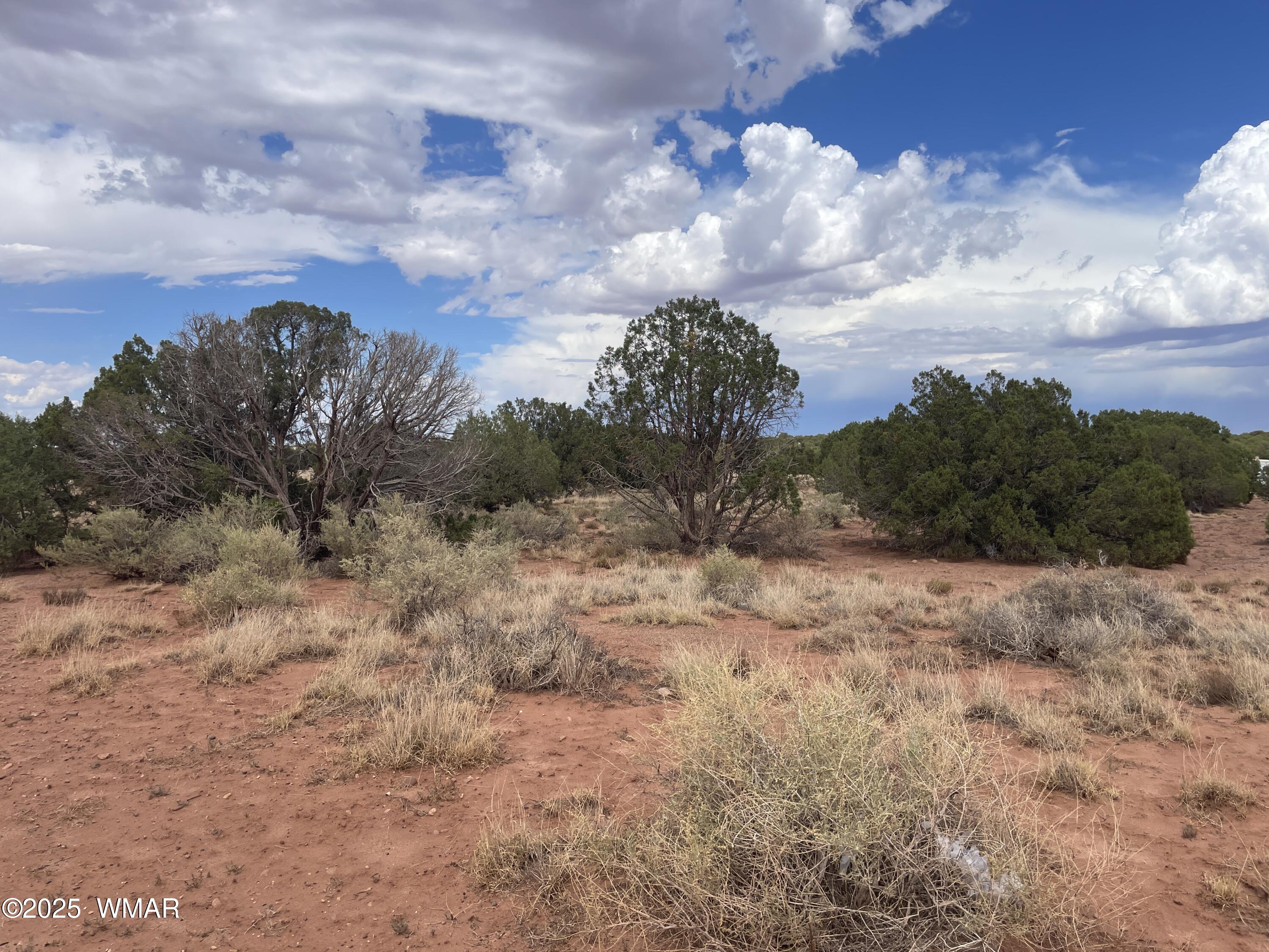 4317 Indian Bend Road Snowflake, AZ 85937 - Photo 3 of 11 IMG_4791