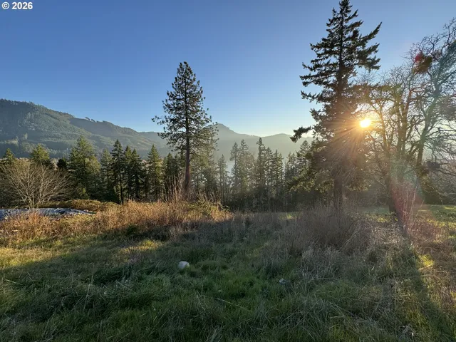 $95,000 | 580 Sunridge Lane, Lowell, OR 97452