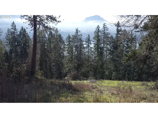 $95,000 | 580 Sunridge Lane, Lowell, OR 97452