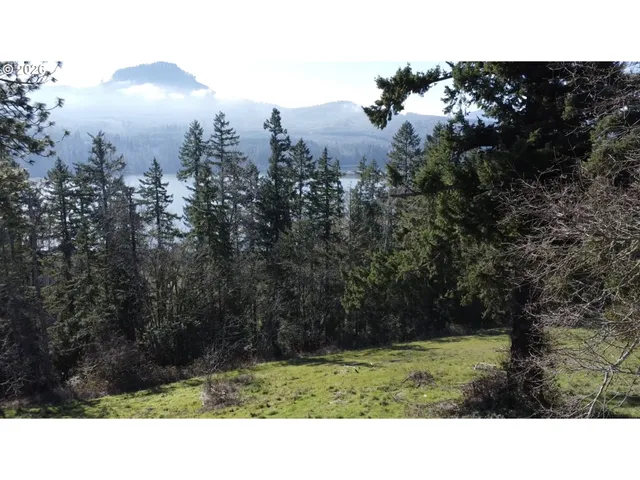 $95,000 | 580 Sunridge Lane, Lowell, OR 97452