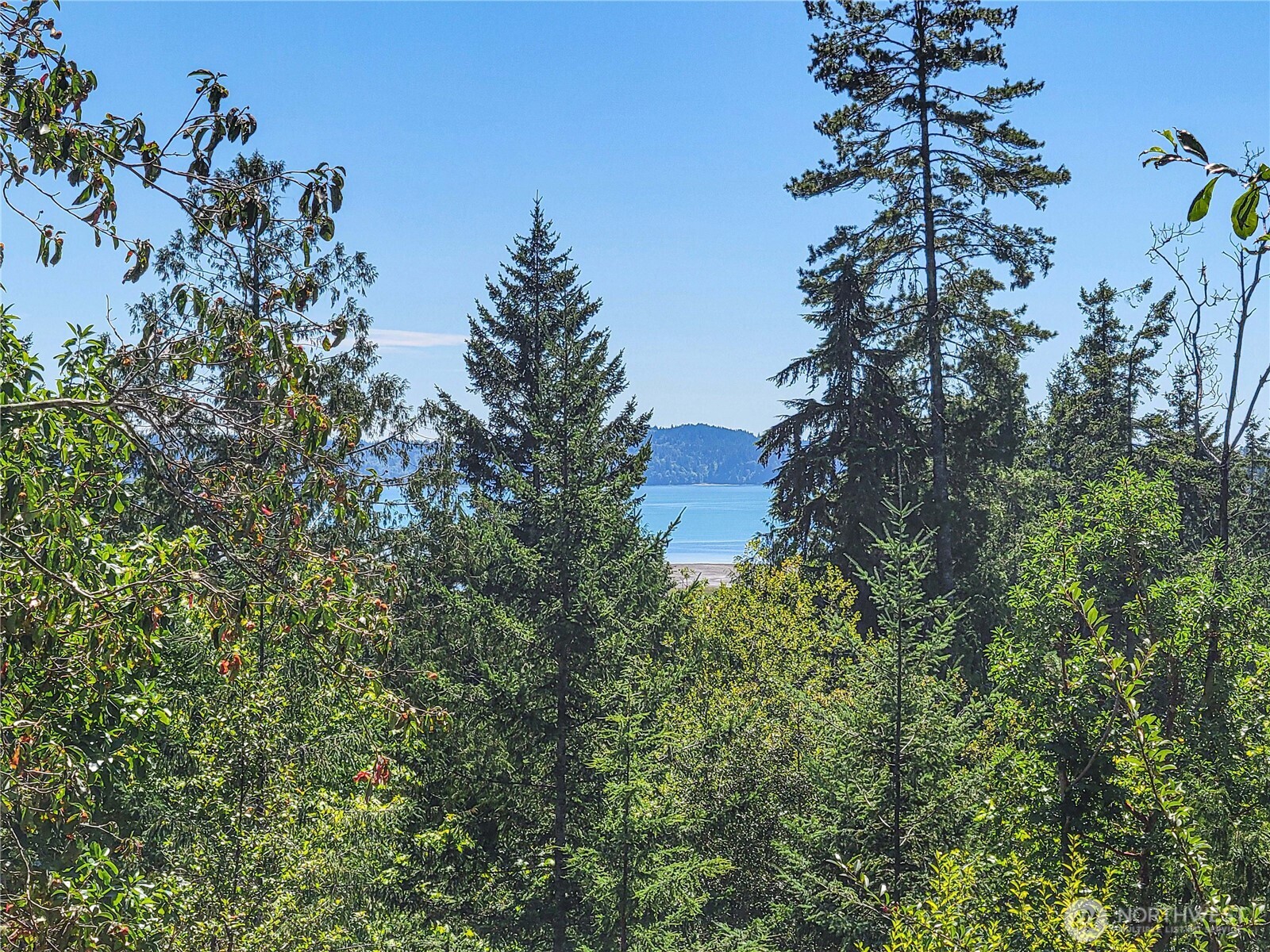 201 Mt Jupiter Road Brinnon, WA 98320 - Photo 2 of 23 Gallery Image 2