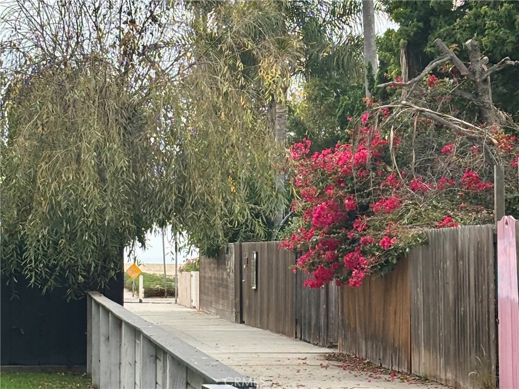 25 Galleon Street Marina del Rey, CA 90292 - Photo 33 of 41 a backyard of a house with lots of green space and trees
