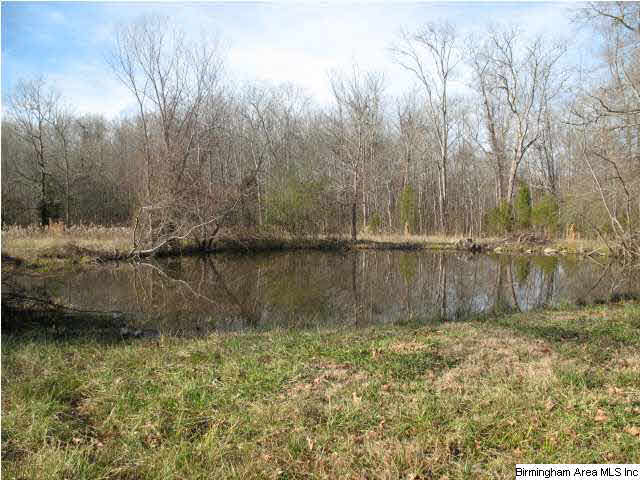 1736 Pine Dale Road Ashville, AL 35953 - Photo 17 of 19