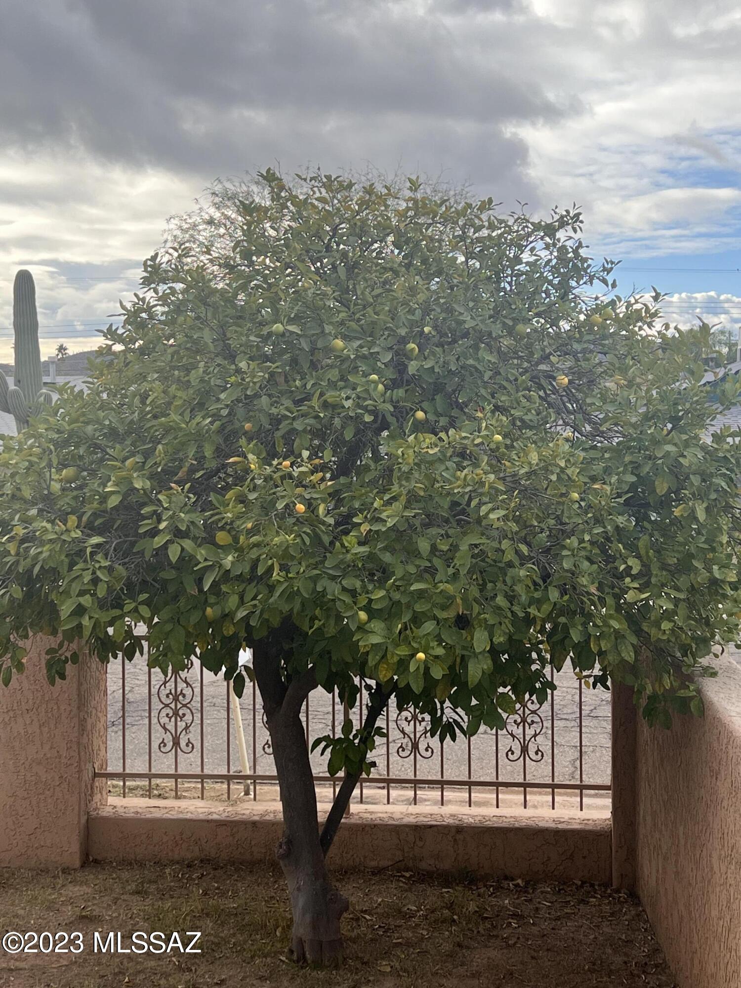 2052 West Merlin Road Tucson, AZ 85713 - Photo 9 of 32