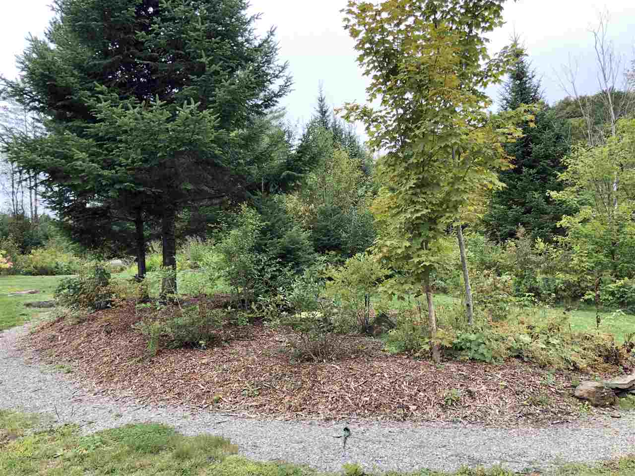 3884 Cabot Road Cabot, VT 05647 - Photo 8 of 22