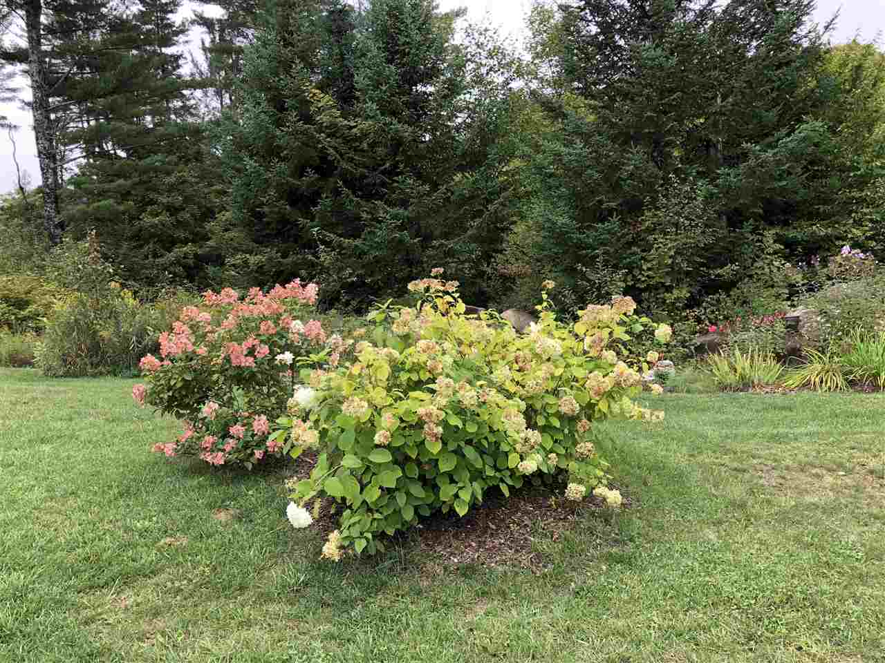 3884 Cabot Road Cabot, VT 05647 - Photo 9 of 22
