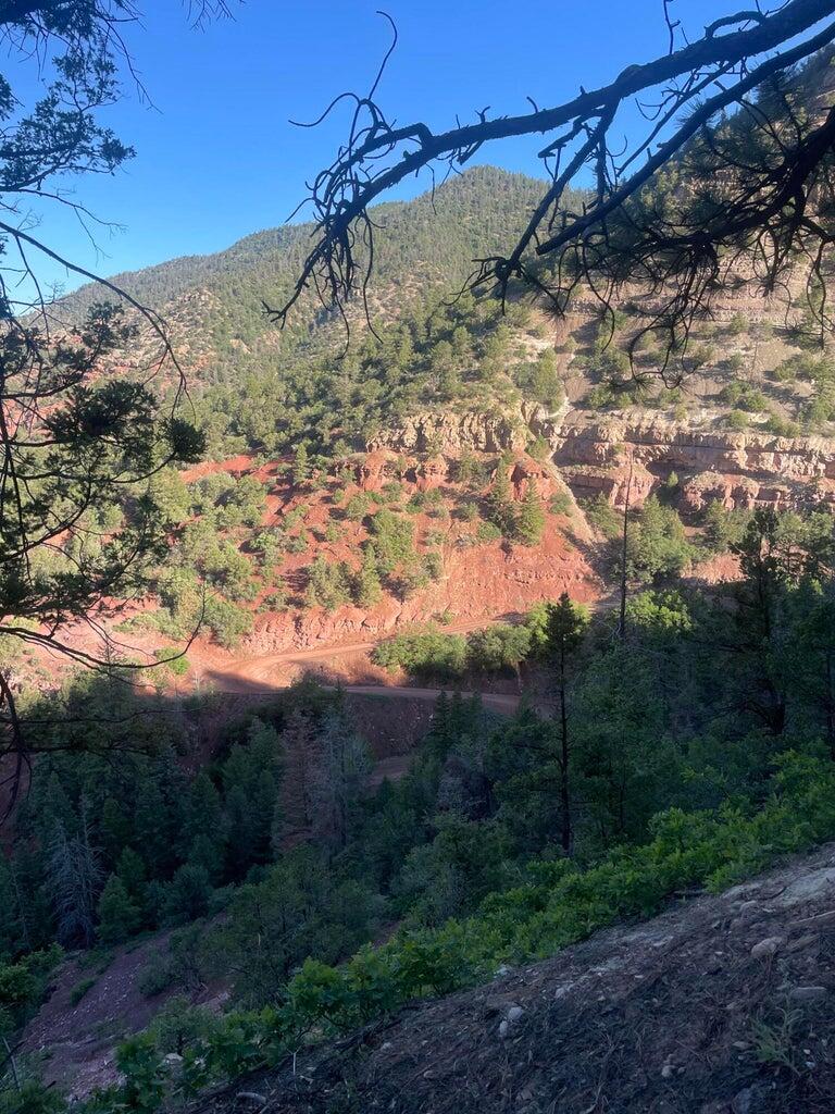1 58p Road Sawpit, CO 81430 - Photo 15 of 34 20240523184807328513000000-o