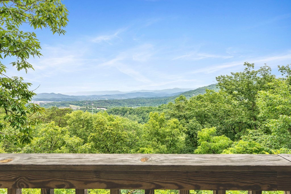 889 Lloyd Huskey Road Pigeon Forge, TN 37863 - Photo 4 of 41 Gallery Image 4