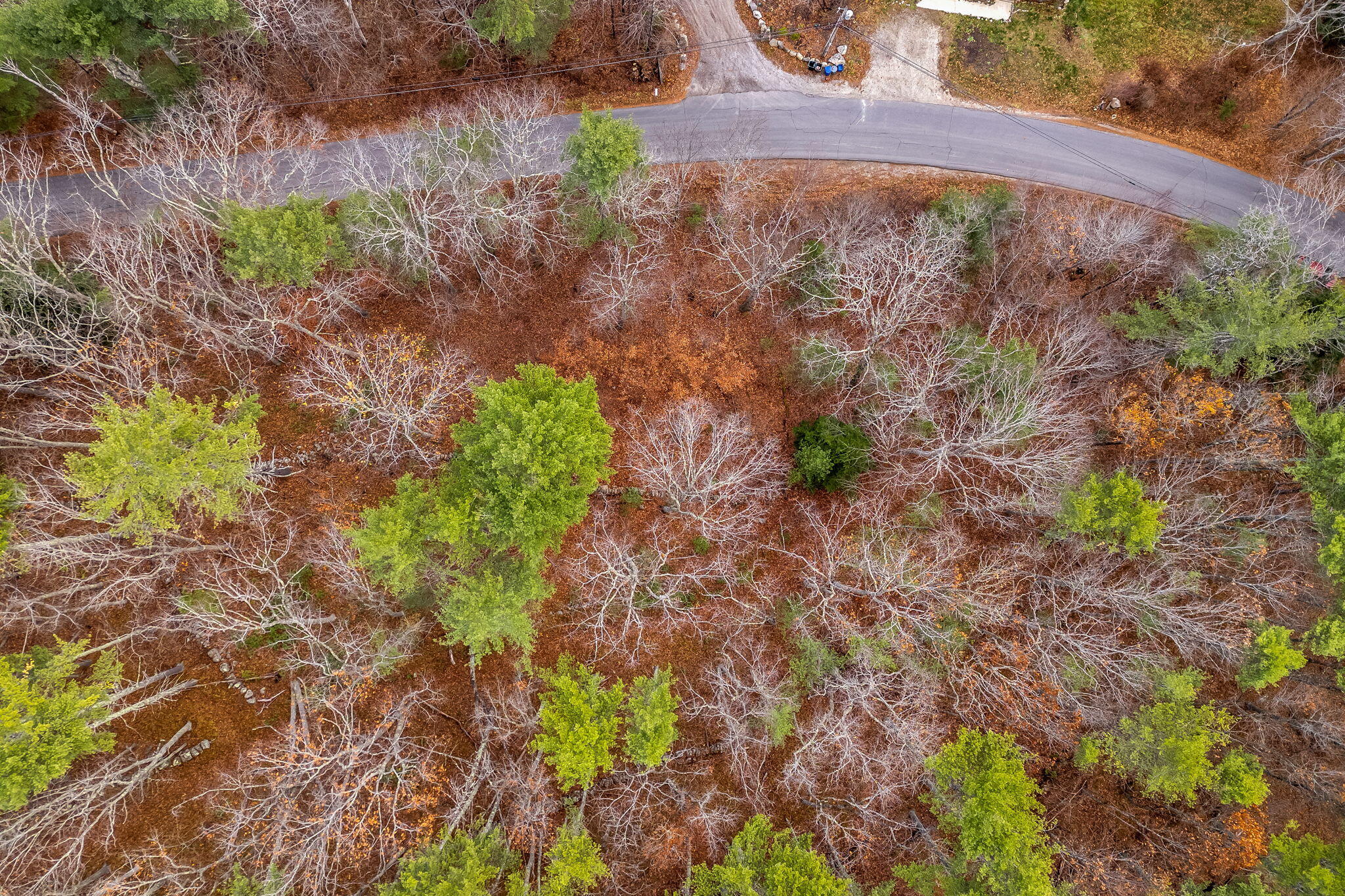 Lot 97 B Meadow Road Woolwich, ME 04579 - Photo 11 of 13 11-web-or-mls-lot-97b-meadow-road