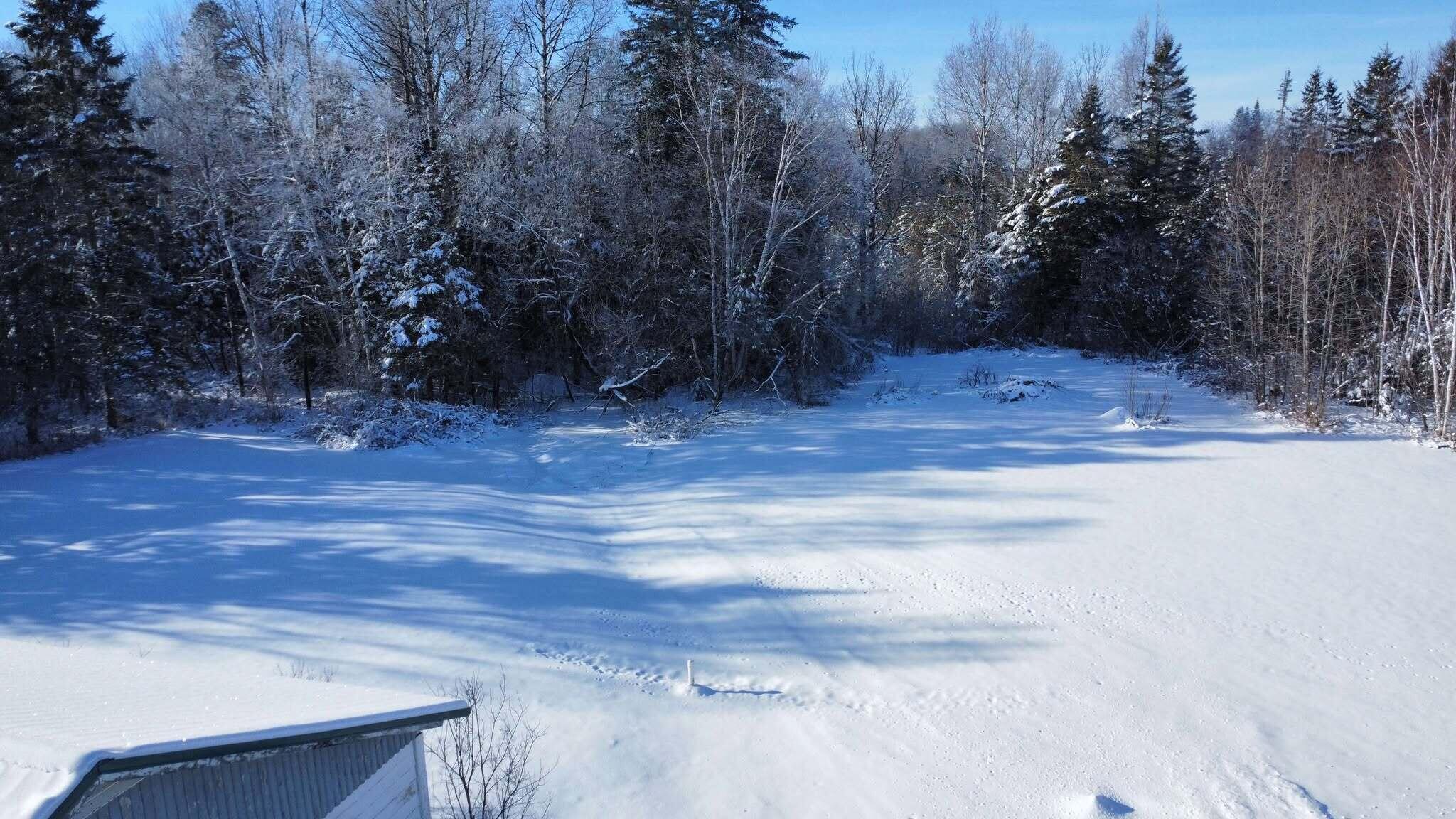 932 Van Buren Road Caswell, ME 04750 - Photo 9 of 49 5 Acres!