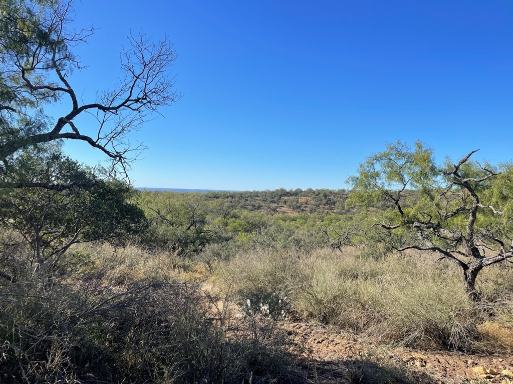 Lot 6 Little Willow Creek Road, Unit 6 Mason, TX 76856 - Photo 11 of 14 a view of a large yard with lots of bushes