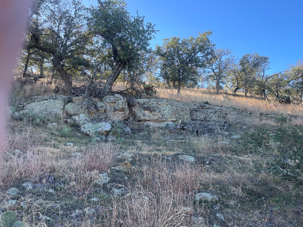 Lot 6 Little Willow Creek Road, Unit 6 Mason, TX 76856 - Photo 12 of 14