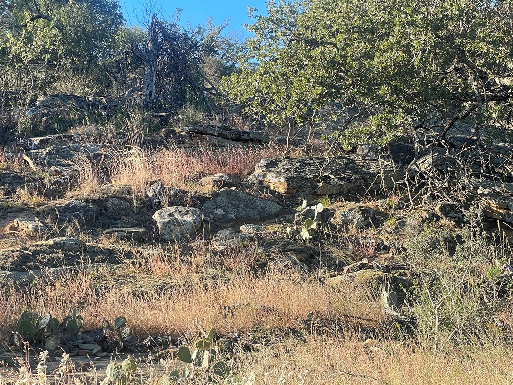 Lot 6 Little Willow Creek Road, Unit 6 Mason, TX 76856 - Photo 5 of 14 a view of a tree of a yard