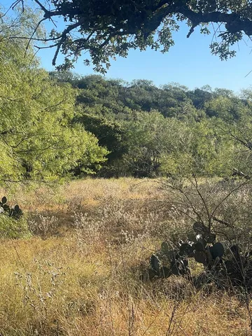a view of a yard with a tree