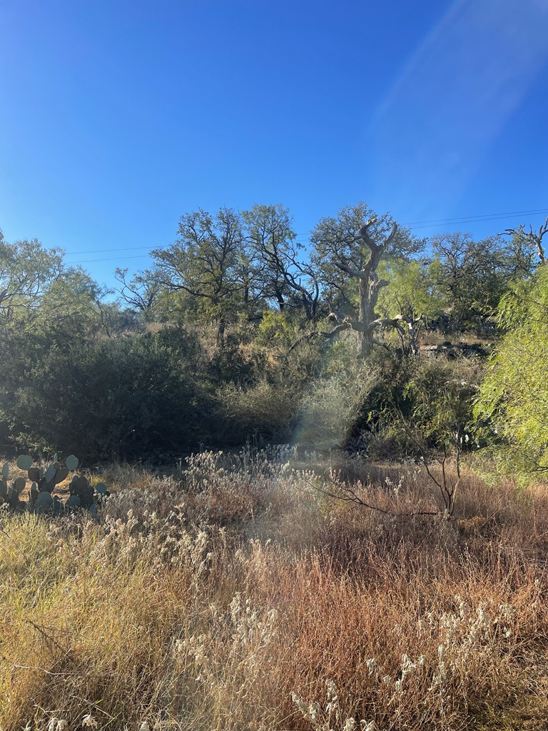 Lot 6 Little Willow Creek Road, Unit 6 Mason, TX 76856 - Photo 7 of 14
