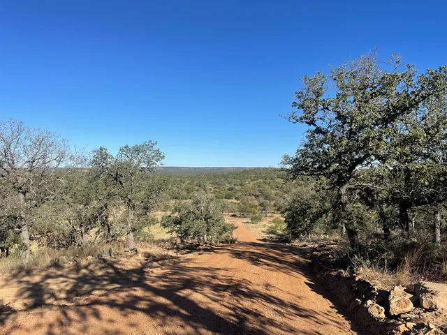 a view of a tree in a field