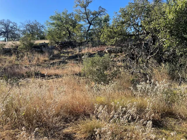 a view of a road with a yard