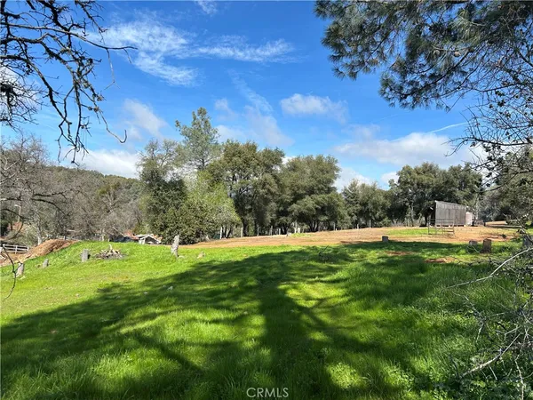 a view of a big yard with a tree