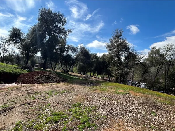 a view of a park with large trees