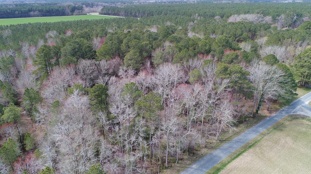 0 Drummondtown Road Accomac, VA 23301 - Photo 31 of 50