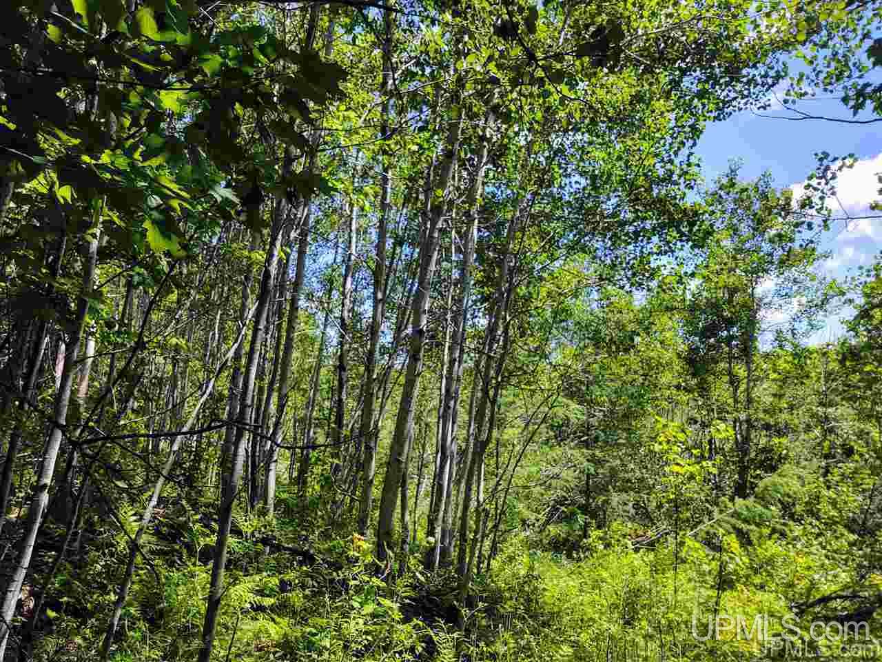 Tbd Co Rd Fp Republic, MI 49879 - Photo 25 of 33