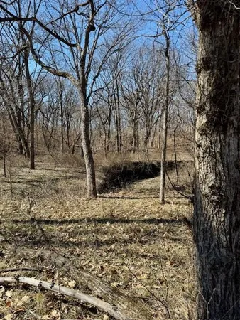 $530,000 | 1393 Northeast 288th Street, Plattsburg, MO 64477
