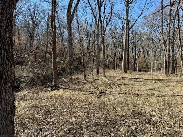 $530,000 | 1393 Northeast 288th Street, Plattsburg, MO 64477