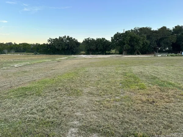 a view of a field with trees in the background