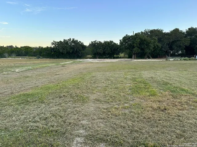 a view of a field with trees in the background