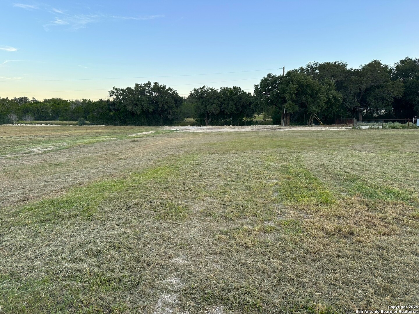 a view of a field with trees in the background