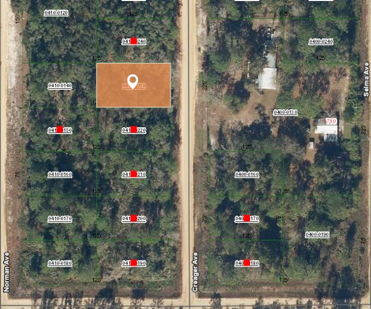 4 Creager Avenue Interlachen, FL 32148 - Photo 2 of 3 Aerial