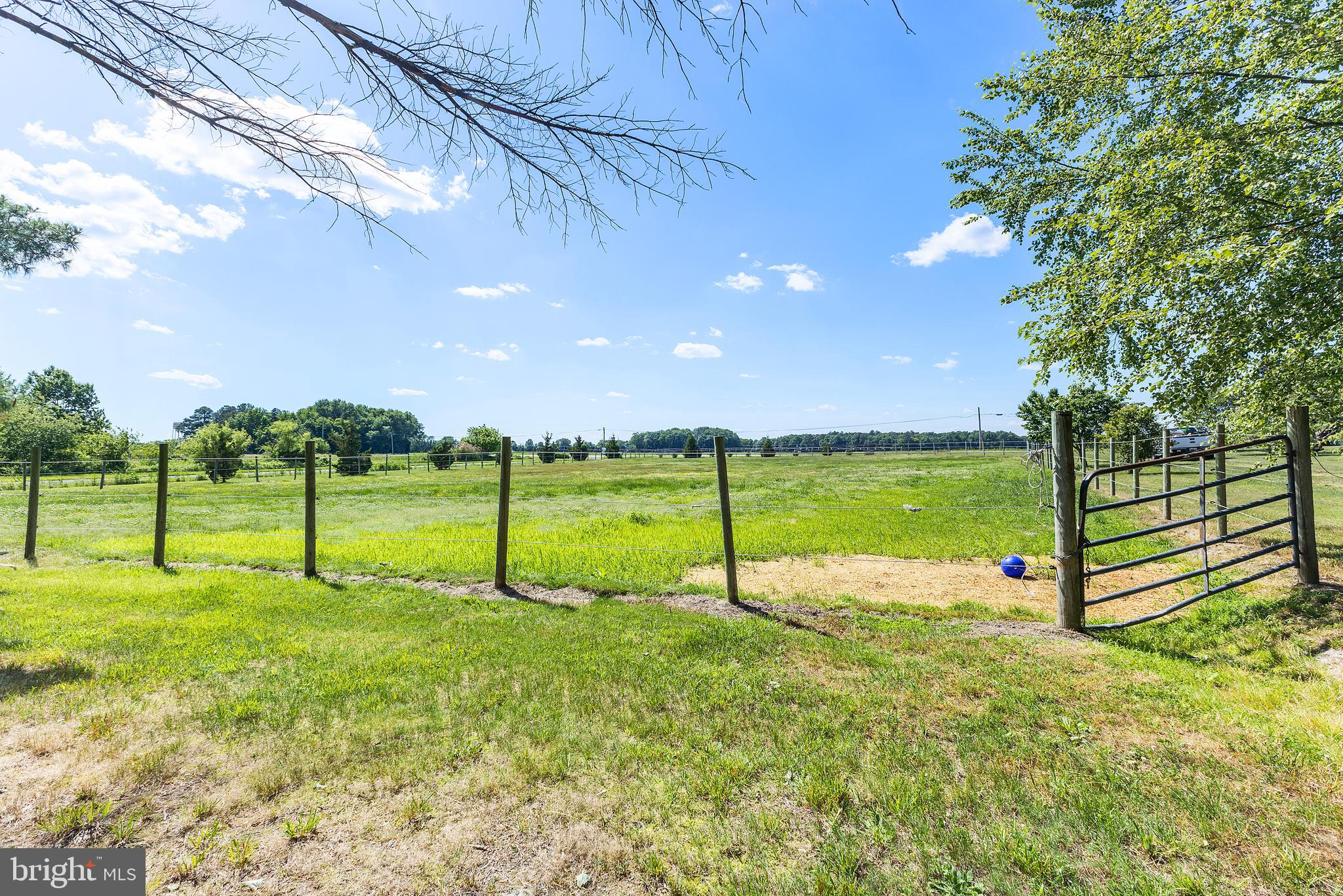 12397 Ridgely Road Ridgely, MD 21660 - Photo 29 of 62 One of 3 paddocks ElectroBraid Fencing
