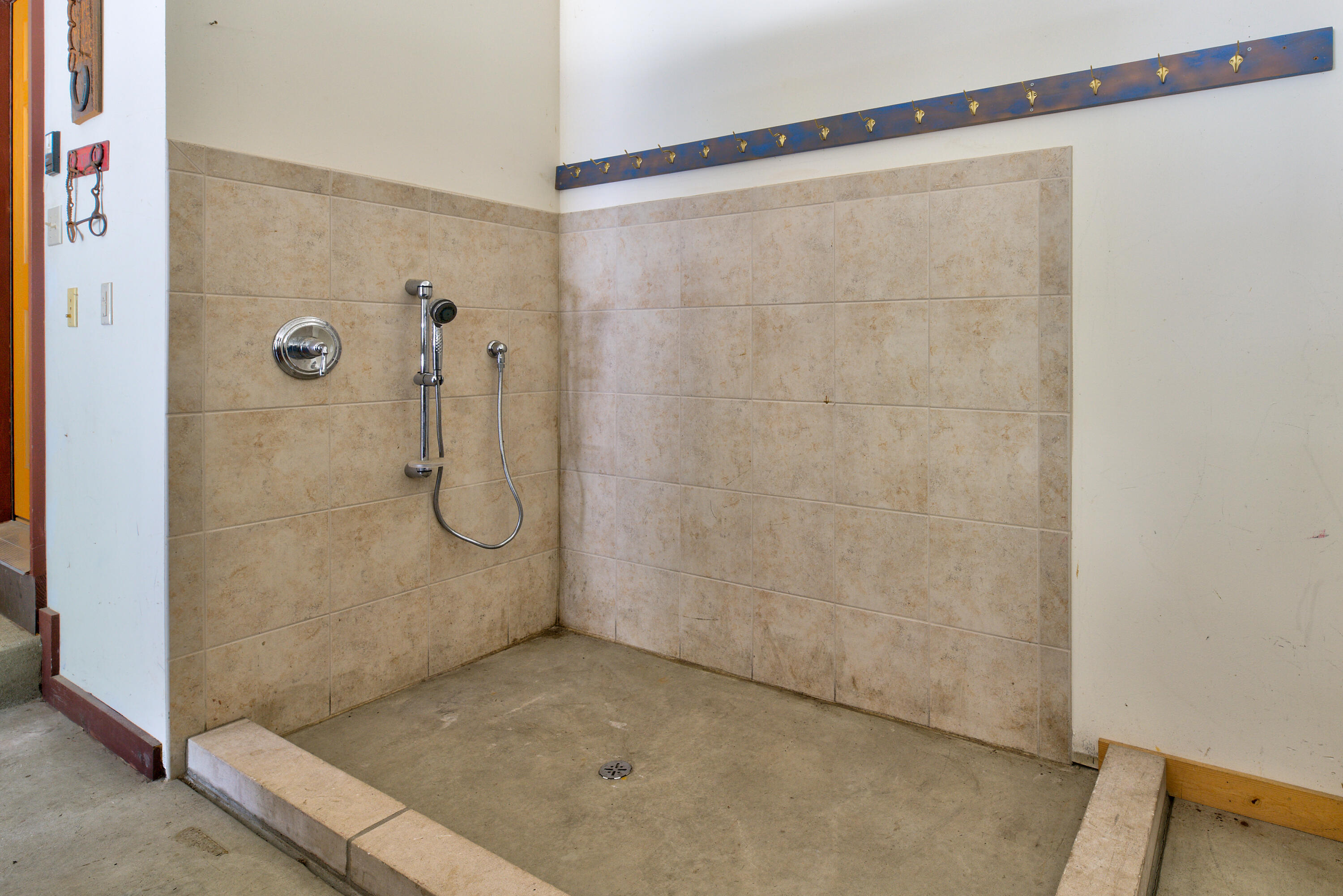 760 Mill Pond Road Dousman, WI 53118 - Photo 37 of 83 Dog Wash Station In Garage Pic 1