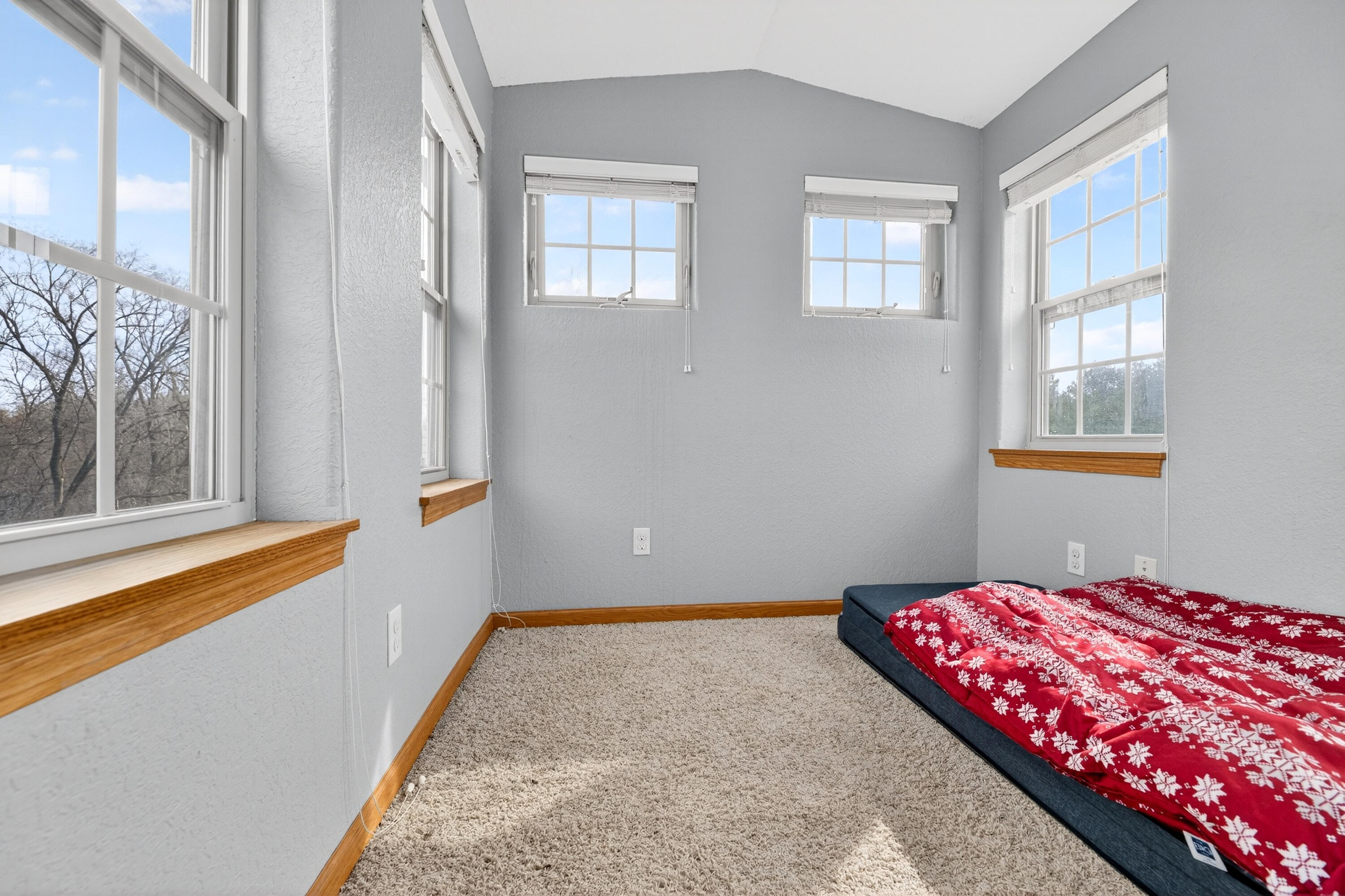 760 Mill Pond Road Dousman, WI 53118 - Photo 53 of 81 Bonus Room/Widows Peak Pic 2