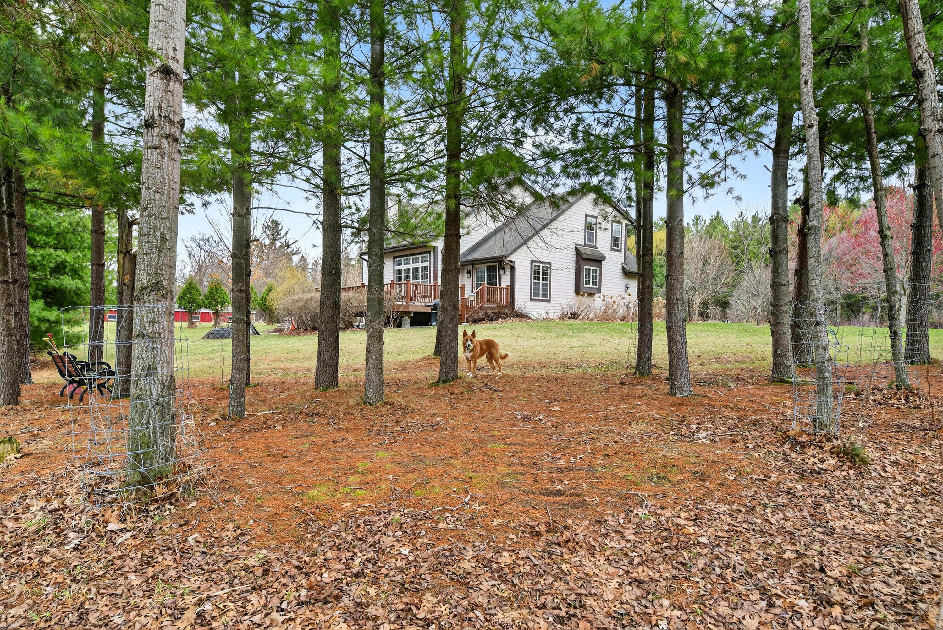 760 Mill Pond Road Dousman, WI 53118 - Photo 71 of 83 Back Yard Pic 1