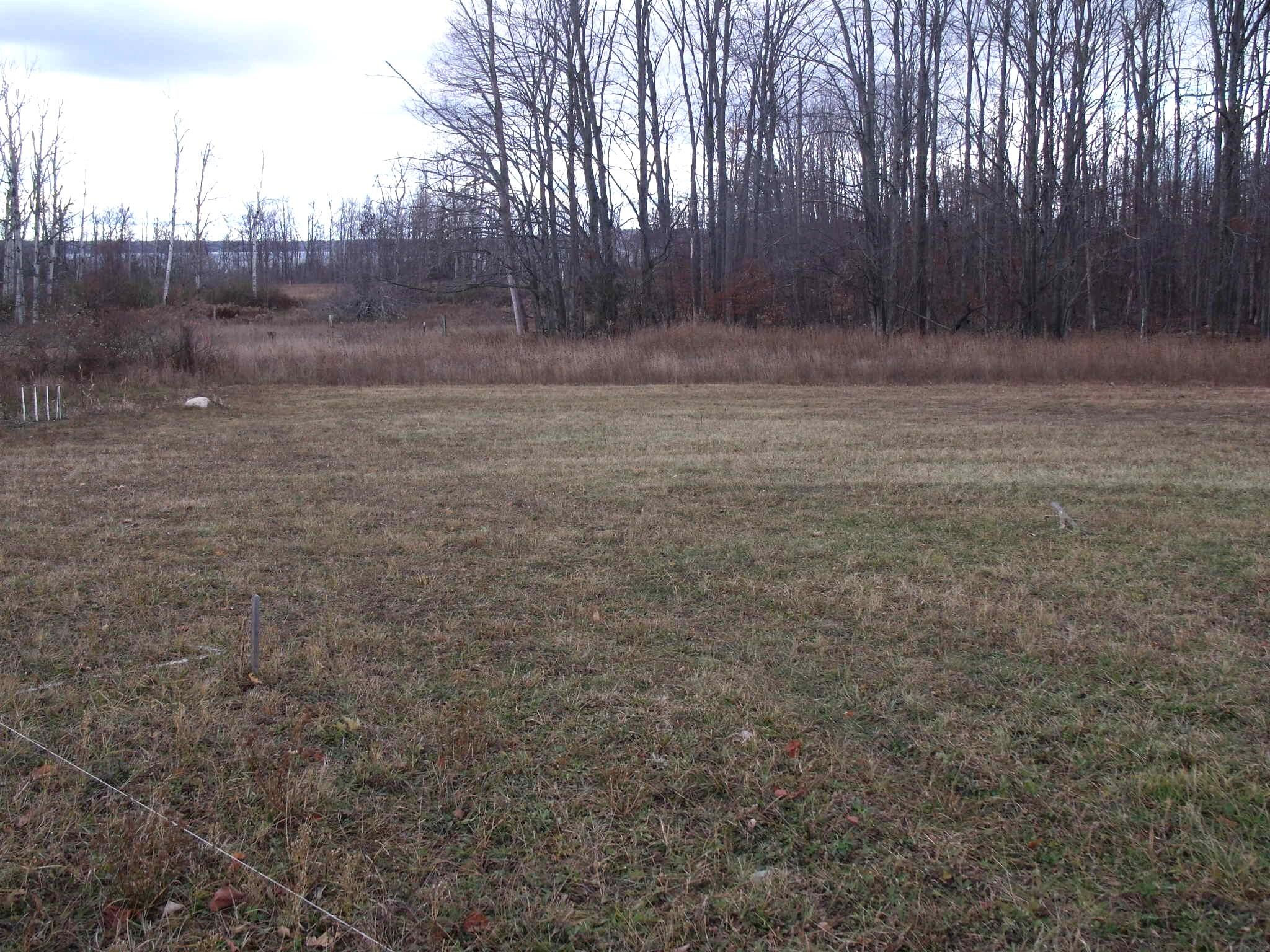 2327 Mcmichael Road Alanson, MI 49706 - Photo 7 of 14 GEDC3950